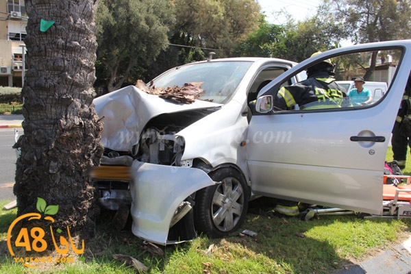 acc yaffa jasterret (10).JPG